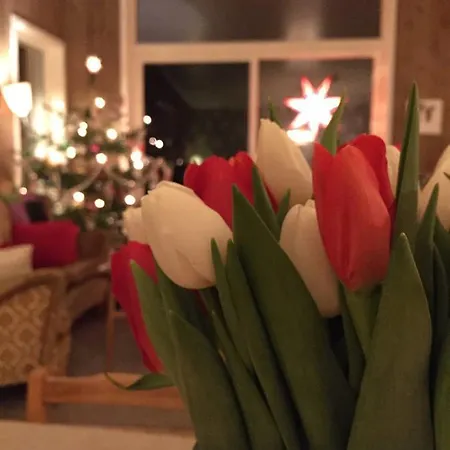 Gammelstua Seaview Lodge Valberg